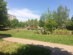 IMG_4763.JPG