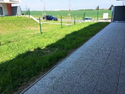 IMG-2976