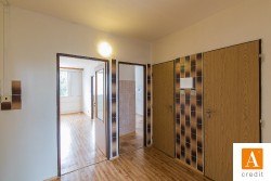 acredit_ujezdnl_190828_L8A7673_web.JPG