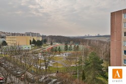 acredit-renoirova_200319_L8A2431_web.JPG