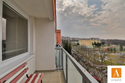 acredit-renoirova_200319_L8A2436_web.JPG