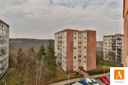 acredit-renoirova_200319_L8A2441_web.JPG