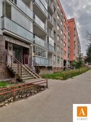 acredit-renoirova_200319_L8A2461_web.JPG