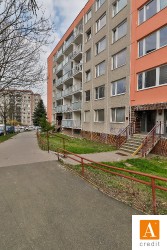 acredit-renoirova_200319_L8A2471_web.JPG