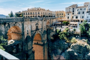 954_img_0546